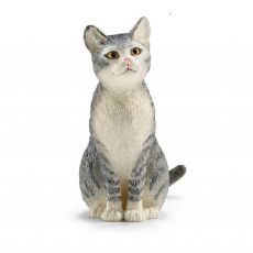 Katt, sittende