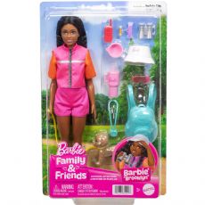 Barbie Familievenner-dukker JJV60 box